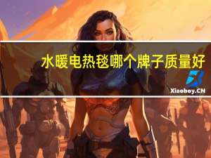 水暖电热毯哪个牌子质量好（什么牌子的电热毯好）