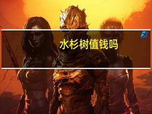 水杉树值钱吗