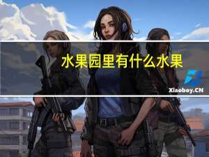 水果园里有什么水果