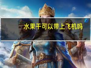 水果干可以带上飞机吗