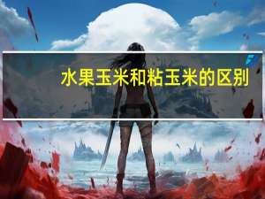 水果玉米和粘玉米的区别