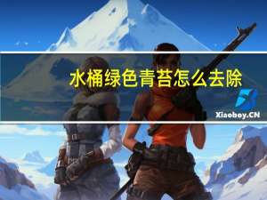水桶绿色青苔怎么去除