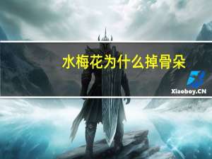 水梅花为什么掉骨朵