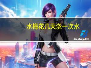 水梅花几天浇一次水