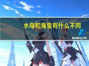 水母和海蜇有什么不同