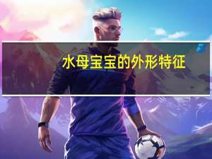 水母宝宝的外形特征