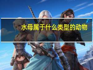 水母属于什么类型的动物
