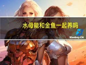 水母能和金鱼一起养吗