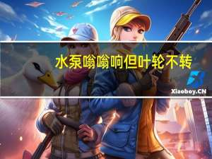 水泵嗡嗡响但叶轮不转