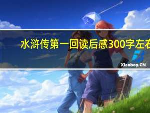 水浒传第一回读后感300字左右（水浒传第一回读后感悟）