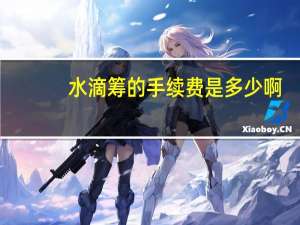 水滴筹的手续费是多少啊