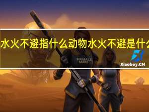 水火不避指什么动物 水火不避是什么生肖