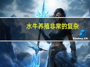 水牛养殖非常的复杂，养殖水牛要注意哪些