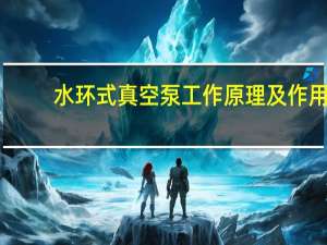 水环式真空泵工作原理及作用（水环式真空泵工作原理）