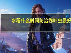 水稻什么时间防治卷叶虫最好