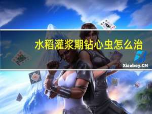 水稻灌浆期钻心虫怎么治