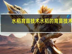 水稻育苗技术 水稻的育苗技术