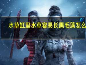 水草缸里水草容易长黑毛藻怎么破