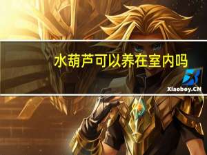 水葫芦可以养在室内吗