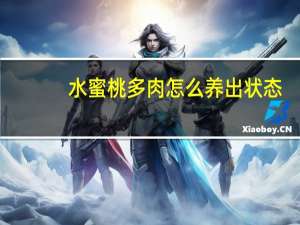 水蜜桃多肉怎么养出状态