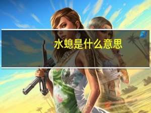 水螅是什么意思