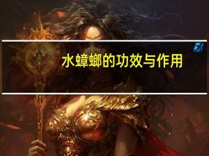 水蟑螂的功效与作用（水蟑螂）