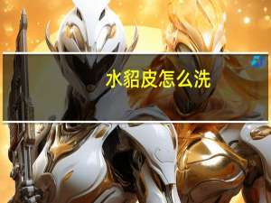 水貂皮怎么洗