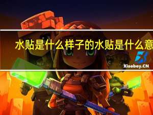 水贴是什么样子的 水贴是什么意思