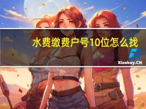 水费缴费户号10位怎么找