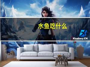 水鱼吃什么