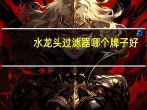 水龙头过滤器哪个牌子好