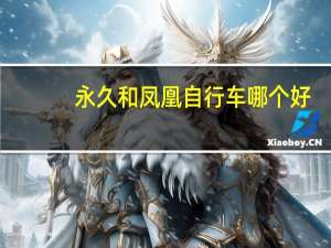 永久和凤凰自行车哪个好