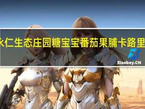 永仁生态庄园 糖宝宝番茄果脯卡路里是多少