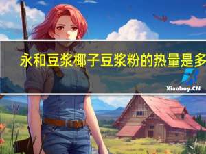 永和 豆浆椰子豆浆粉的热量是多少