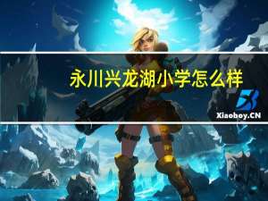 永川兴龙湖小学怎么样