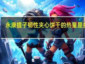 永康 提子韧性夹心饼干的热量是多少