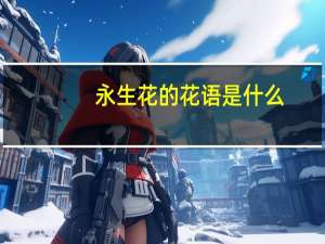 永生花的花语是什么