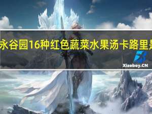 永谷园 16种红色蔬菜水果汤卡路里是多少