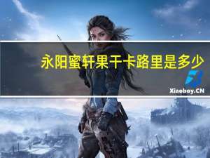 永阳 蜜轩果干卡路里是多少