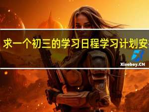 求一个初三的学习日程学习计划安排表！