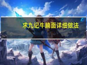 求九记牛腩面详细做法