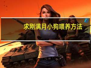 求刚满月小狗喂养方法