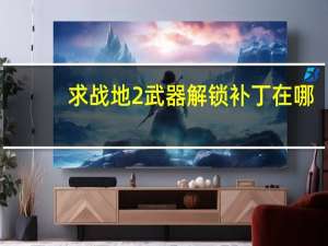 求战地2武器解锁补丁在哪（求战地2武器解锁补丁）