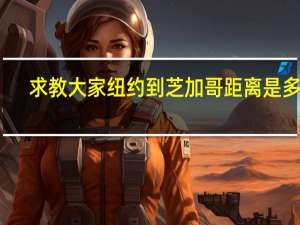 求教大家纽约到芝加哥距离是多少