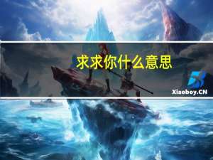 求求你什么意思
