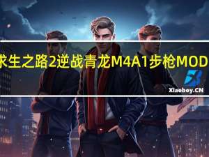 求生之路2逆战青龙M4A1步枪MOD 免费版（求生之路2逆战青龙M4A1步枪MOD 免费版功能简介）