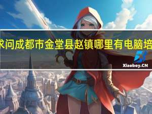 求问成都市金堂县赵镇哪里有电脑培训机构
