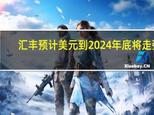 汇丰预计美元到2024年底将走强