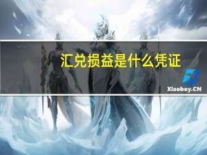 汇兑损益是什么凭证