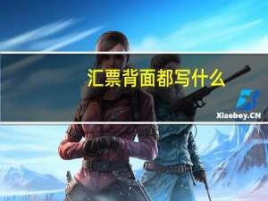 汇票背面都写什么